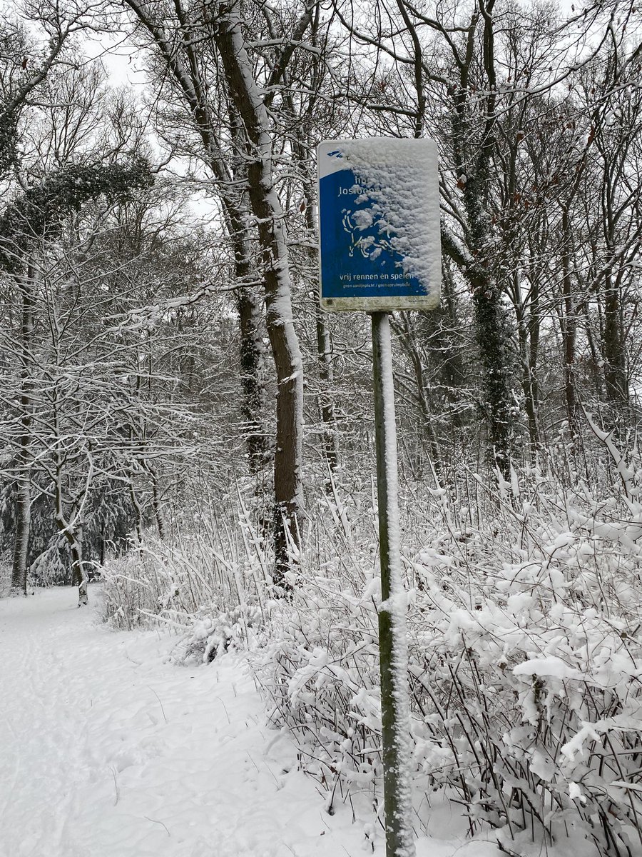 anitadegrutter's tweet photo. Er is een lekker pak sneeuw gevallen vandaag.  Het levert ook wel weer mooie plaatjes op https://t.co/T48JoL4wJA