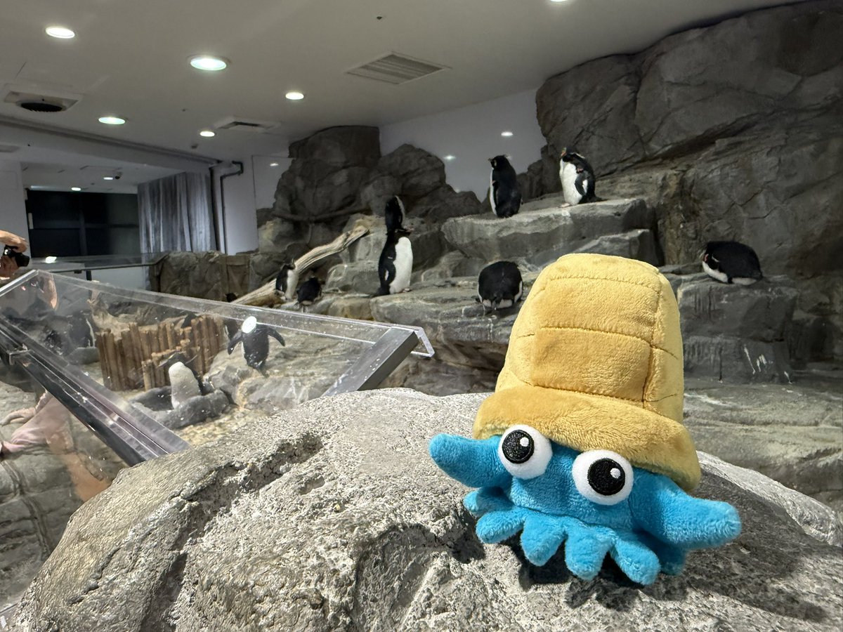 ぐっち🌟 (@GUCCI___JAPAN) on X