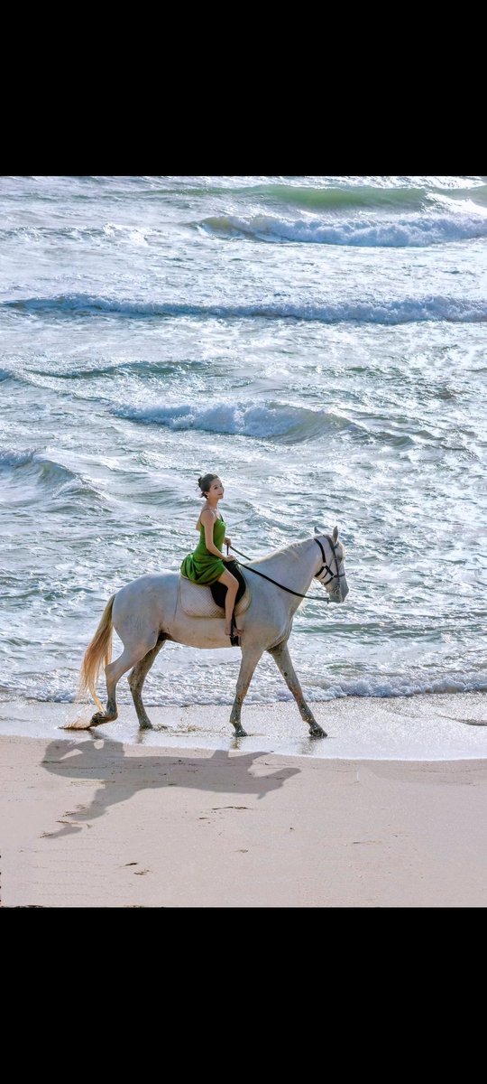 smartapple66's tweet image. 踏马来了的升级版就是
骐骥驰骋
ca 0xe7ac2bfff0ab45b230f70e1ad98e02ce2e954444