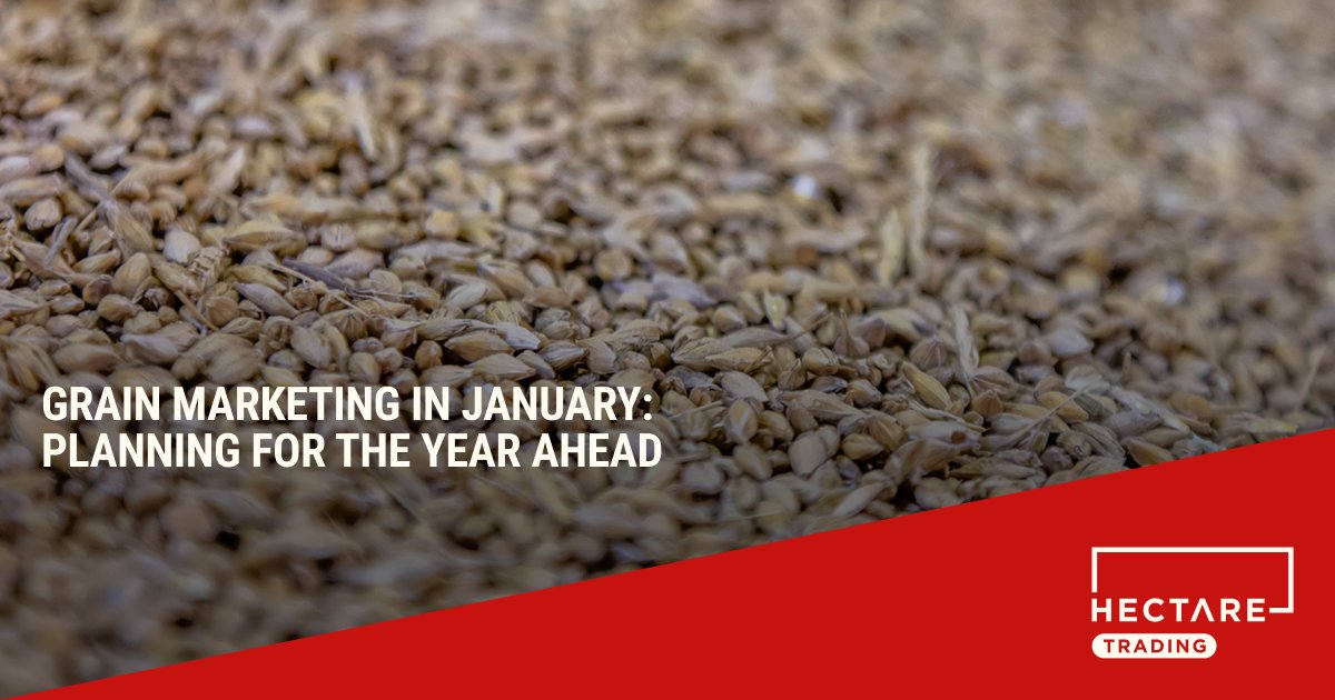 January is about putting structure in place:

⬅️ Get clear on your exit strategy for 2025 grain
🌾 Keep old and new crop decisions separate
🎯 Set targets for your 2026 grain 

Is now the right time to sell some of your new crop forward?

More at ow.ly/CQgo50XSYba