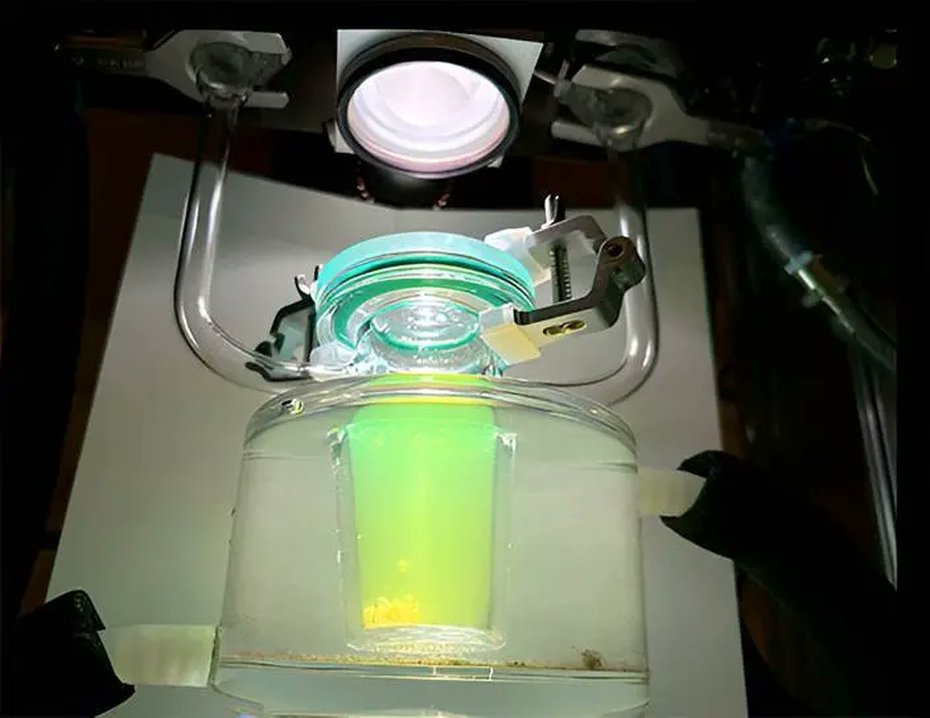 #Solarhydrogen without platinum is now possible. Researchers at Chalmers University of Technology achieved efficient #hydrogenproduction using sunlight, water, and conductive plastic particles—cutting costs and environmental risks.

#H2Now #CleanEnergy 

fcw.sh/MqWZbh