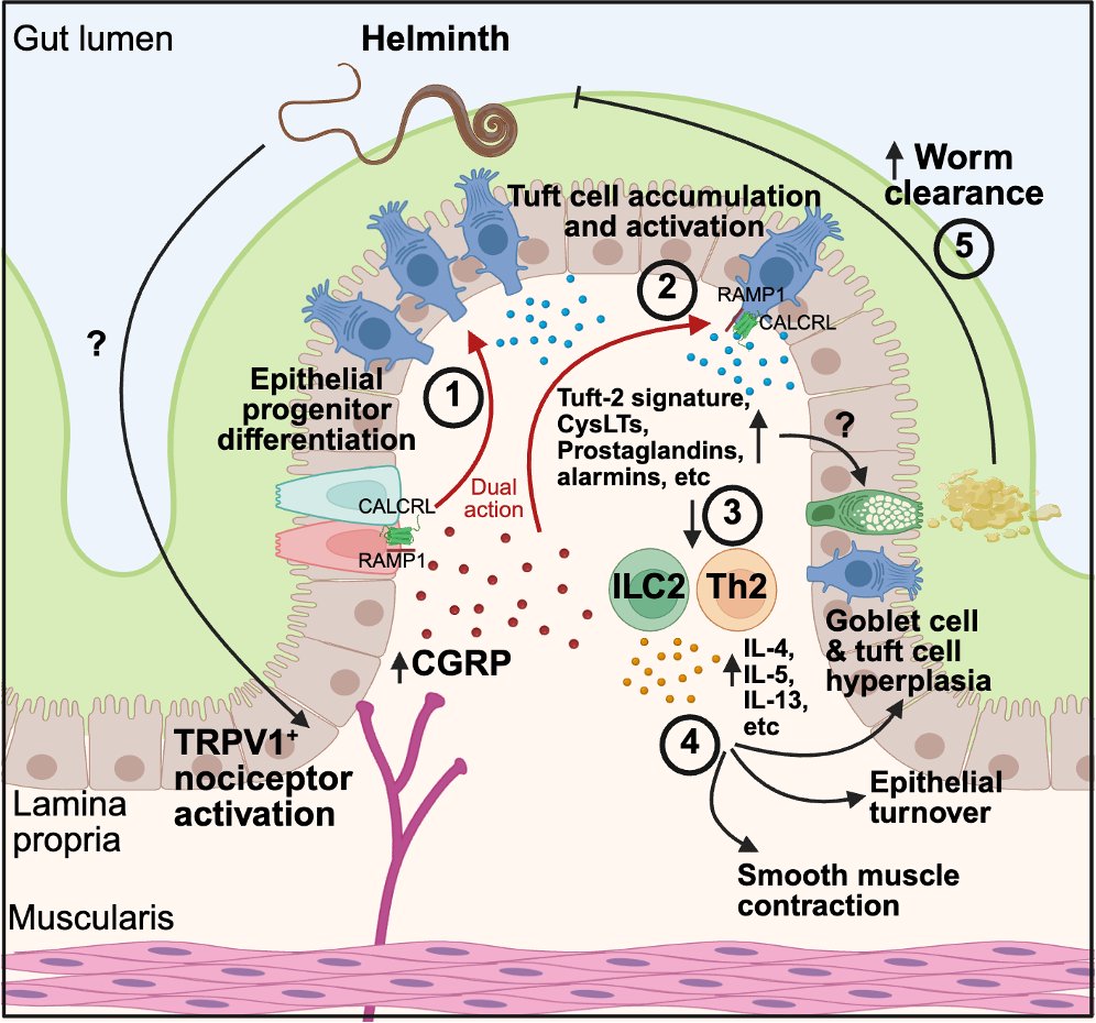 Wen Zhang tweet media