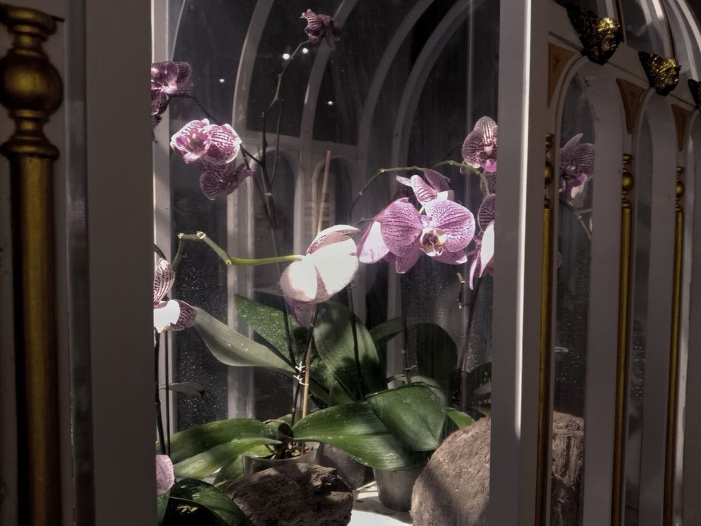 Lily ✮⋆˙ tweet media