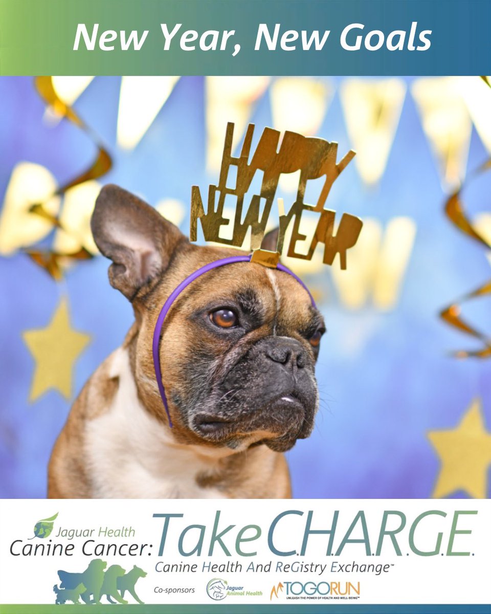 Take C.H.A.R.G.E. tweet media