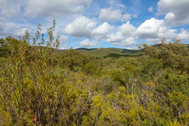 TrailExplorer tweet media