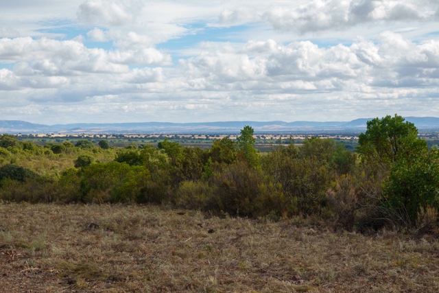 TrailExplorer tweet media