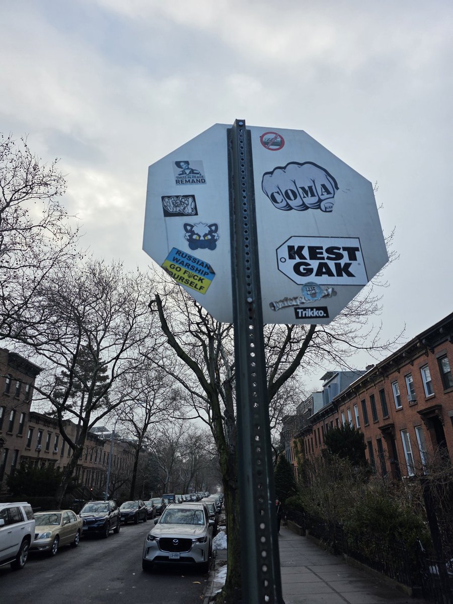 The_Angry_Otaku's tweet image. Sue Skunk sighting, Brooklyn New York. 
@Sweeeeeeh