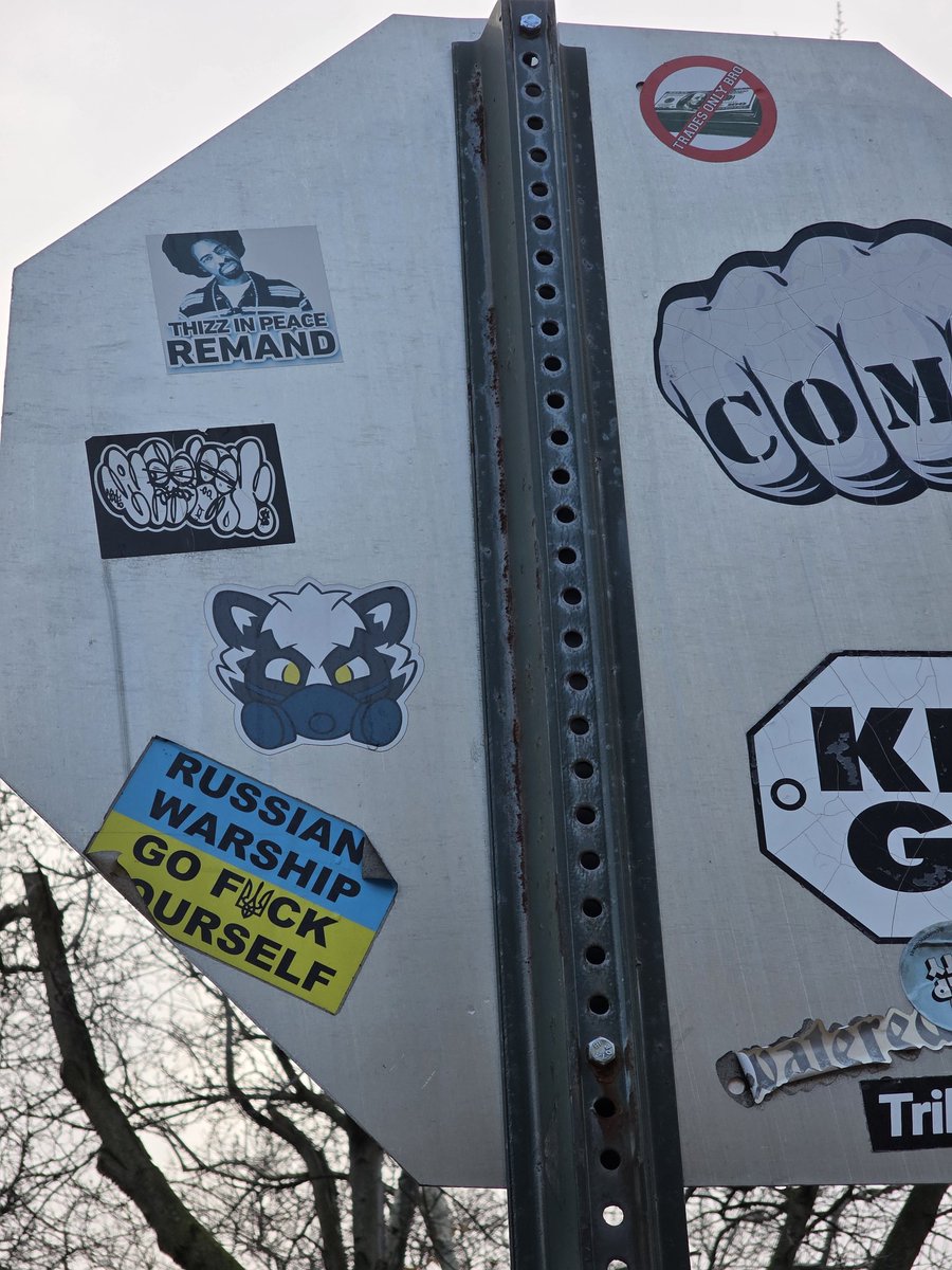 The_Angry_Otaku's tweet image. Sue Skunk sighting, Brooklyn New York. 
@Sweeeeeeh