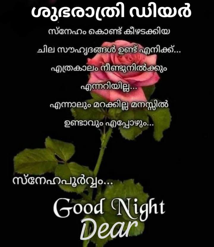 എന്റെ ഗുഡ് night ❤️❤️❤️