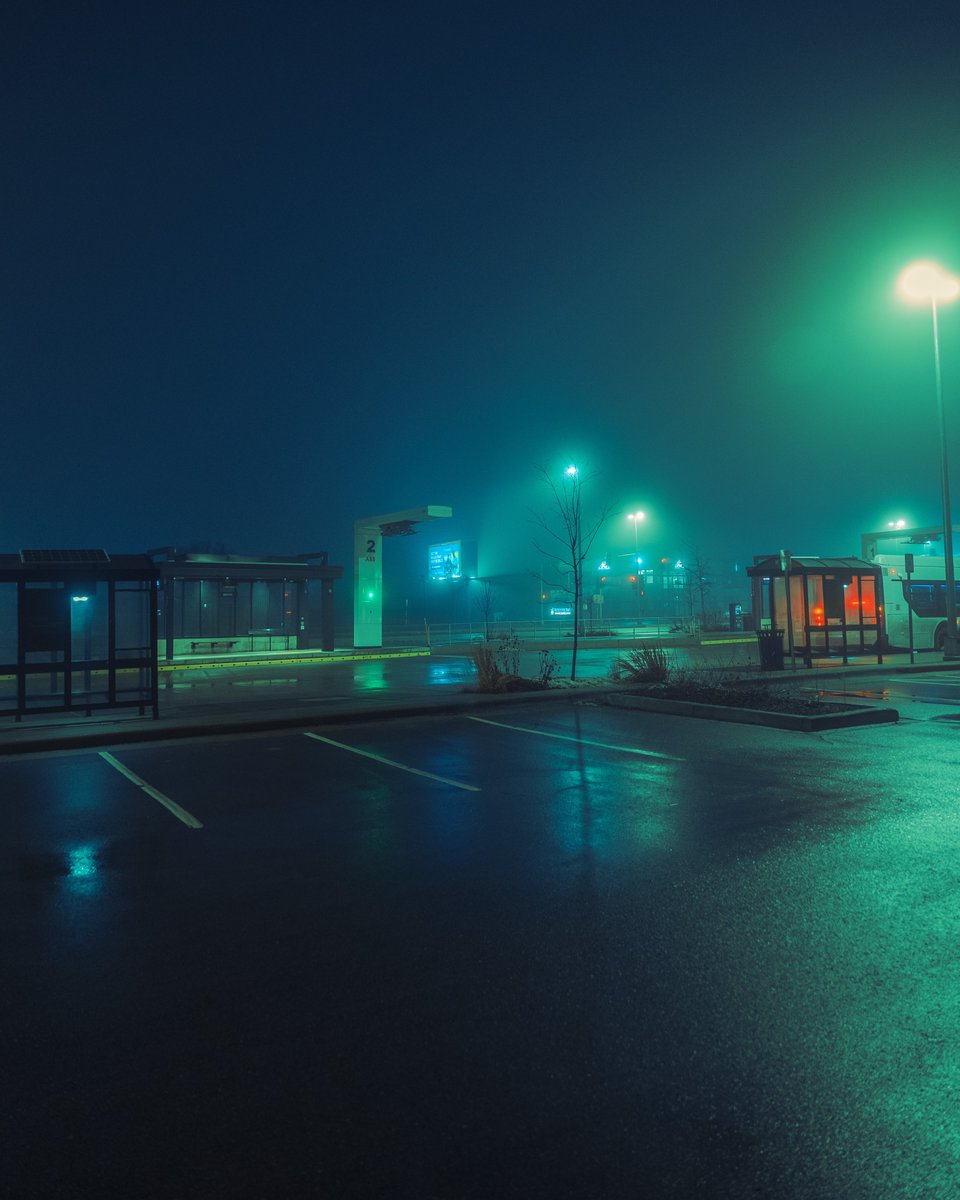 _thecolorfulkid's tweet image. Tales from the fog