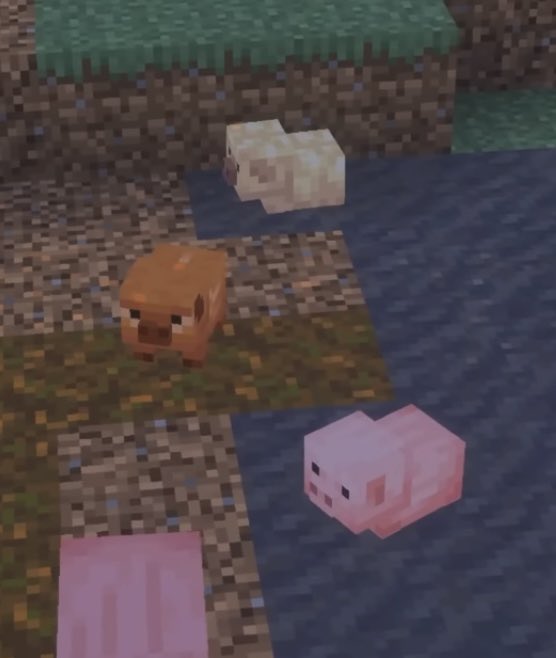 SUNNY/MEATBALL!!! #1 Uncle Samsonite Fan?! tweet media