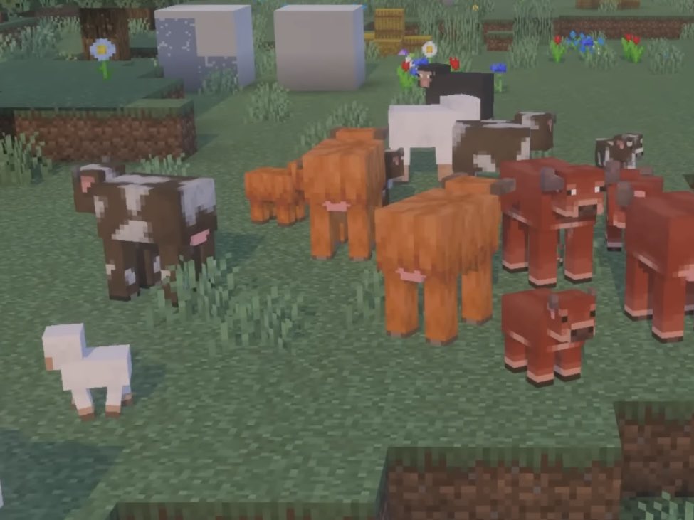 SUNNY/MEATBALL!!! #1 Uncle Samsonite Fan?! tweet media