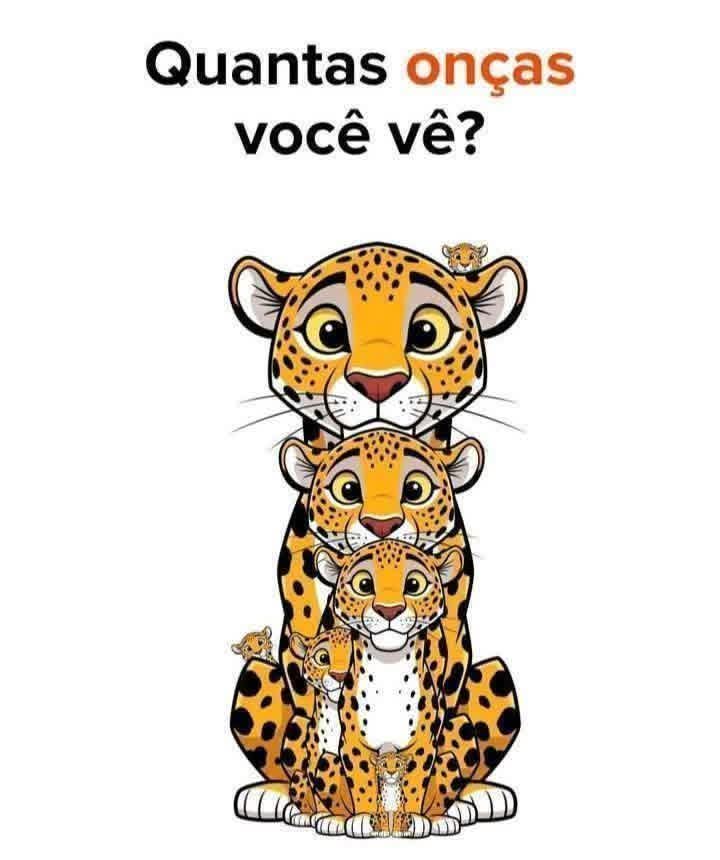 Nei Giglio🇧🇷🍀🇧🇷 tweet media