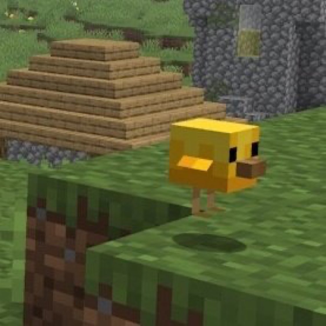 🚨 Após 15 anos, o pinto foi adicionado ao Minecraft.