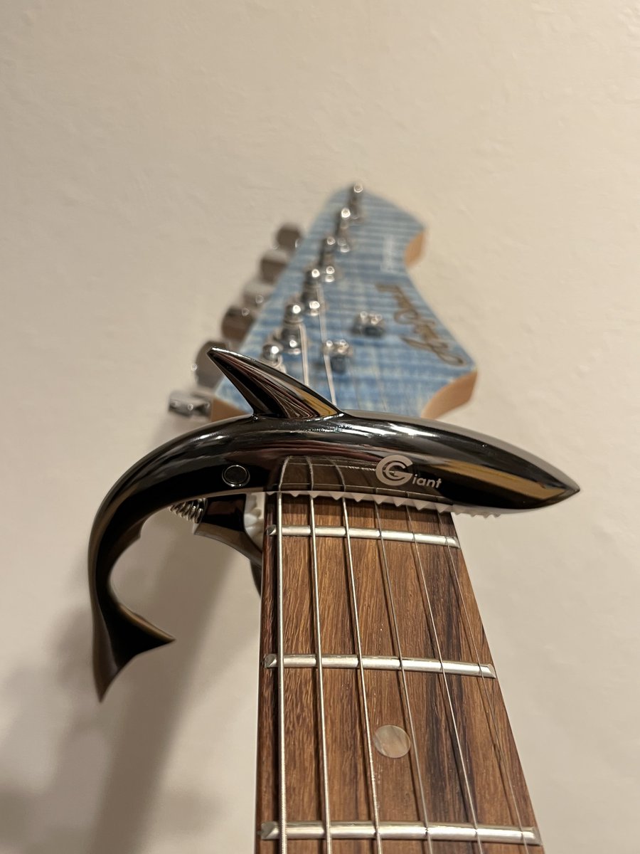 カポ買ったんだけどかわいい🦈