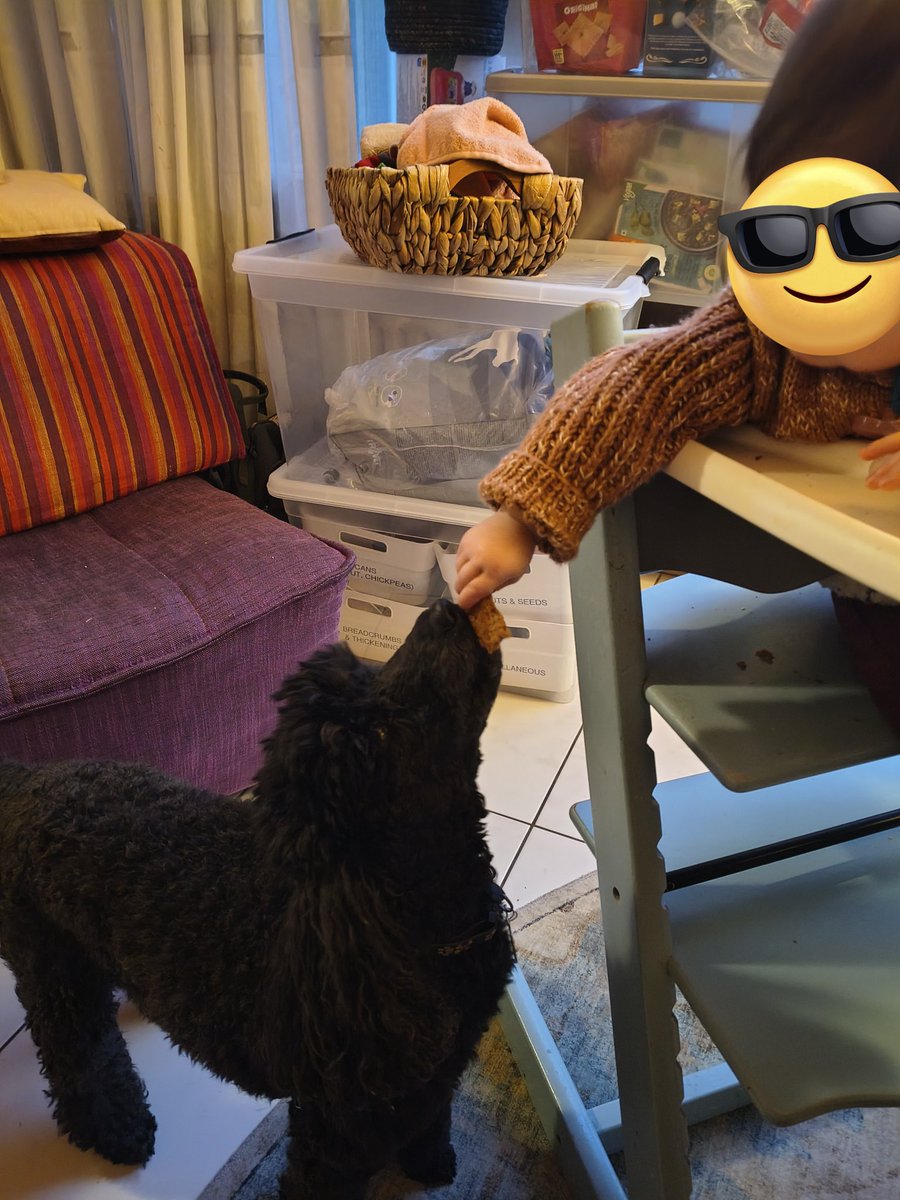 Nina Poodleman tweet media