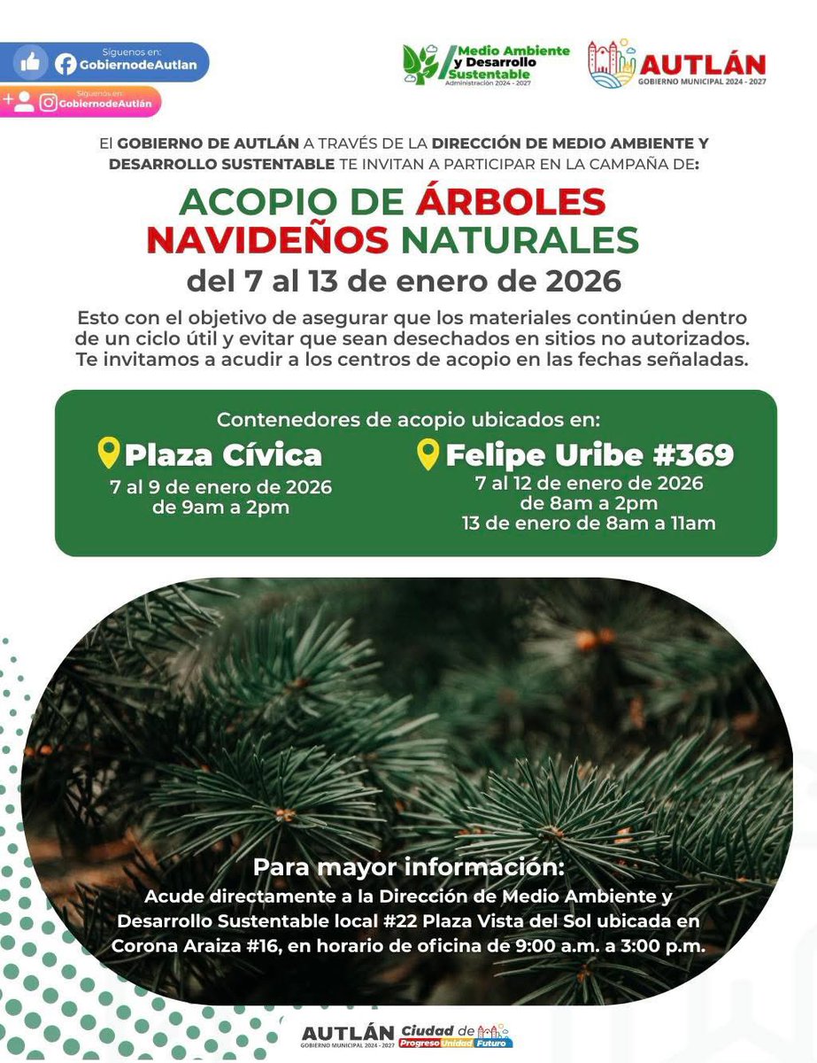 Si esta Navidad utilizaste un árbol natural, no lo deposites en la basura. Ponemos a tu disposición centros de acopio del 7 al 13 de enero para darle un destino final adecuado. Consulta sedes y horarios.
#AutlánMejor #ÁrbolNavideño