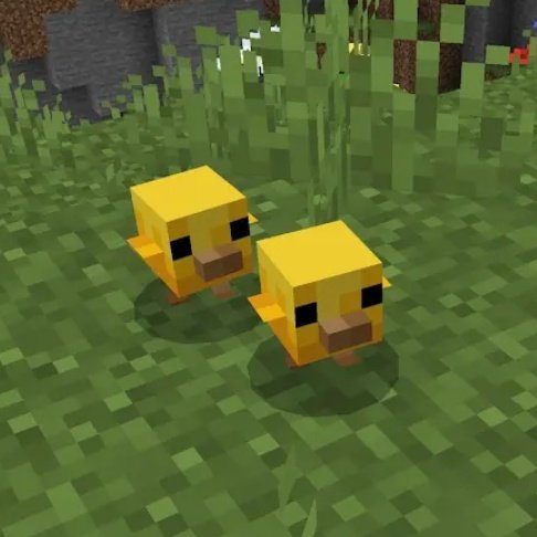 Funny_Anar's tweet image. Lil chickens