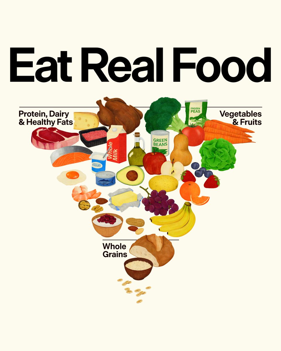 RapidResponse47's tweet image. Introducing The New Pyramid

RealFood.gov
