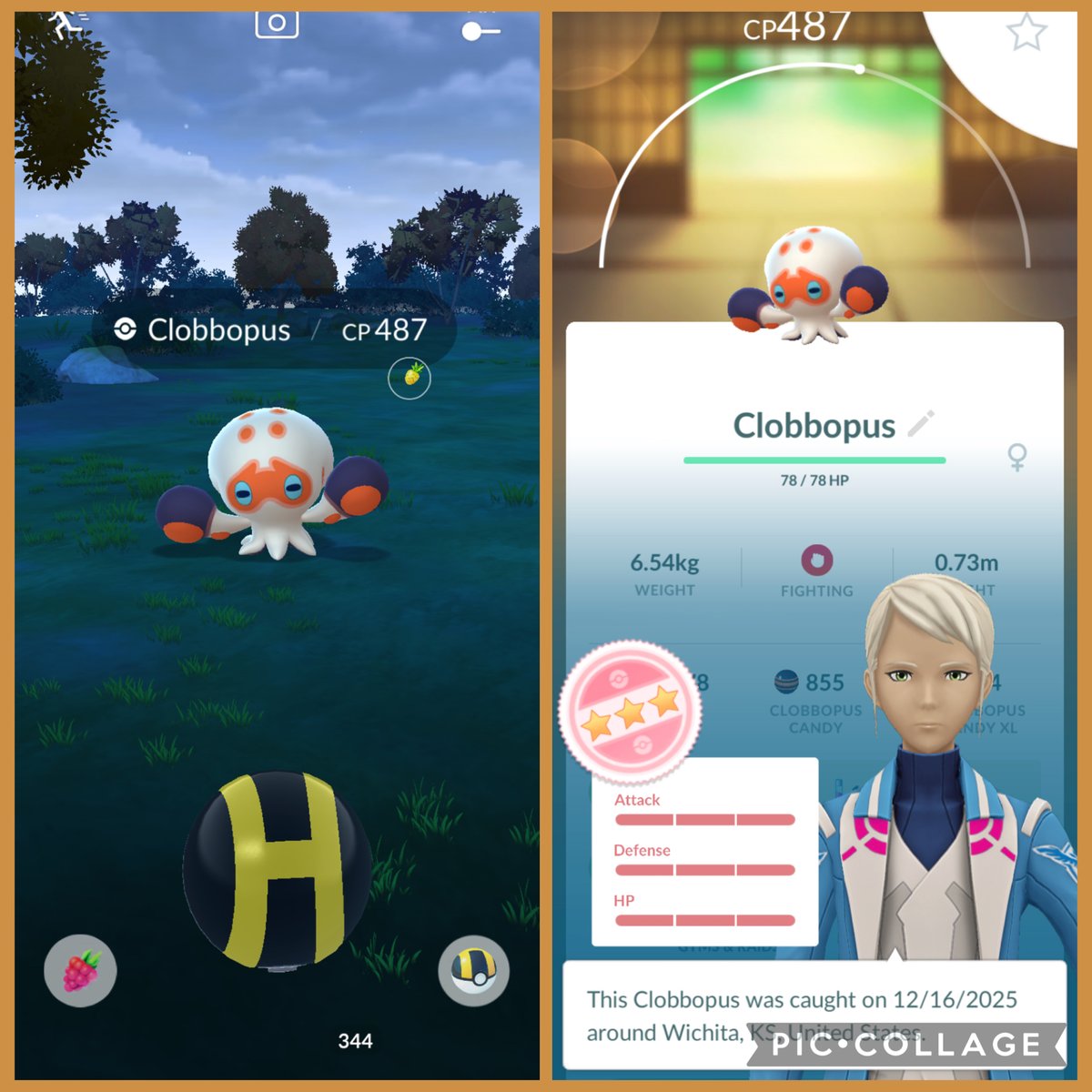 ksoildude9's tweet image. when you know you know 😍

#PokemonGO #research #hundo