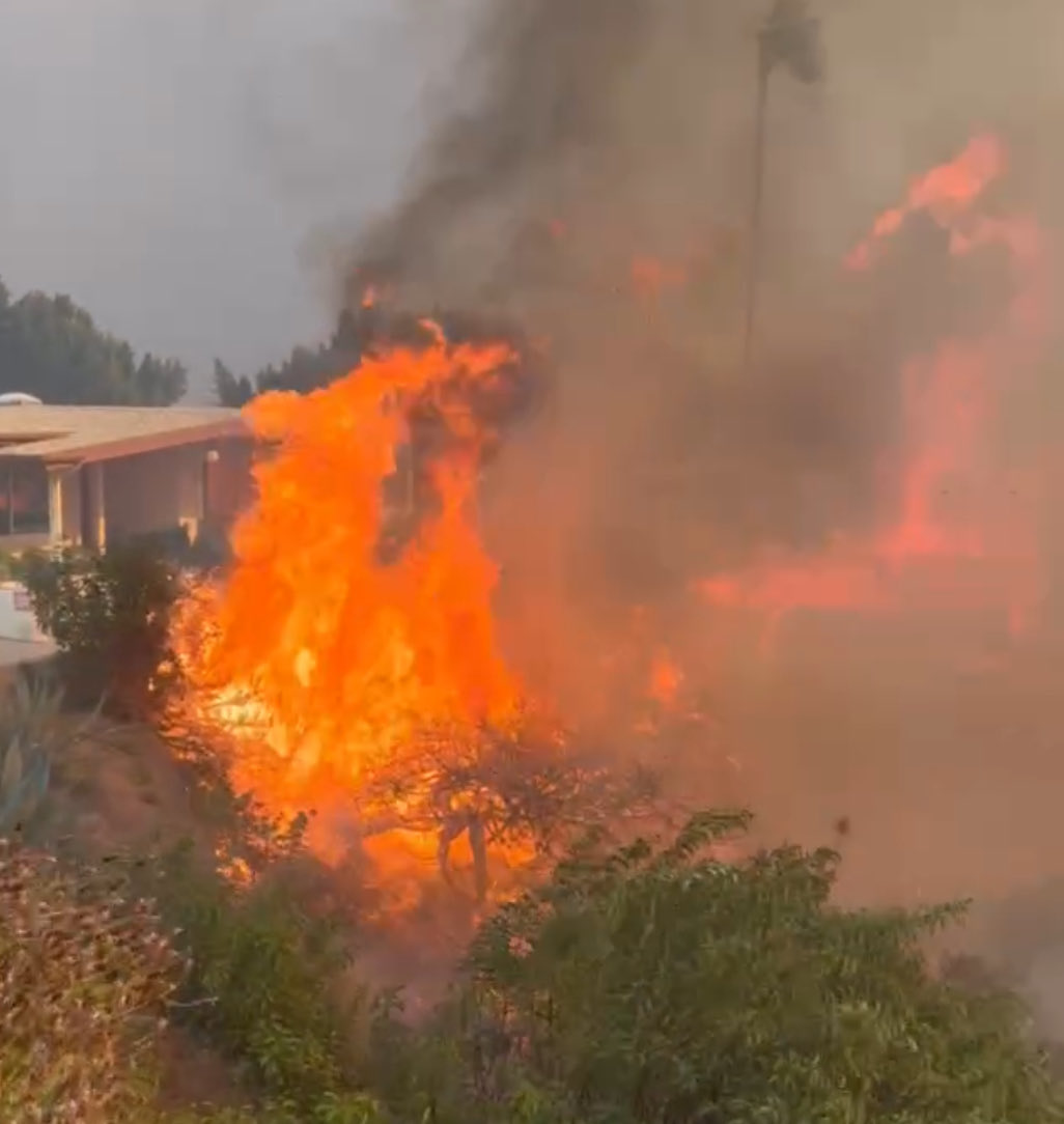 RealJamesWoods's tweet image. One year ago today, in an act of stunning criminal negligence by politicians Karen  Bass and Gavin Newsom, our brave firefighters stood helpless as the reservoir serving the Palisades was bereft of water. Ultimately 16,000 homes were burned to the ground and 29 Californians died…