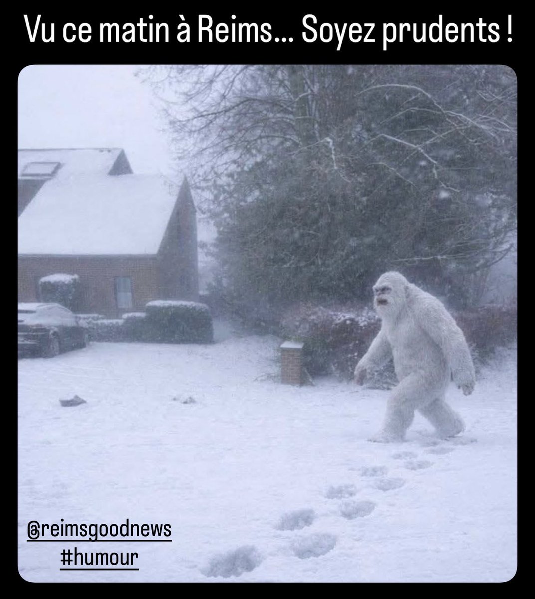 ReimsGoodNews's tweet image. #Reims #Humour #Neige