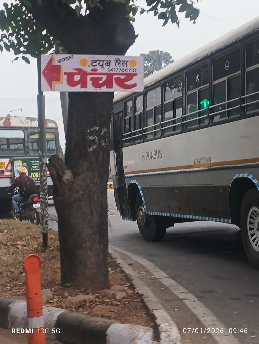 RahulTrees's tweet photo. @Gulab_kataria @RahulTrees 
@PMOIndia 
Please save old trees 🌲🌳🌴
एक पेड़ माँ के नाम जी..... https://t.co/S9oQhRlMDu