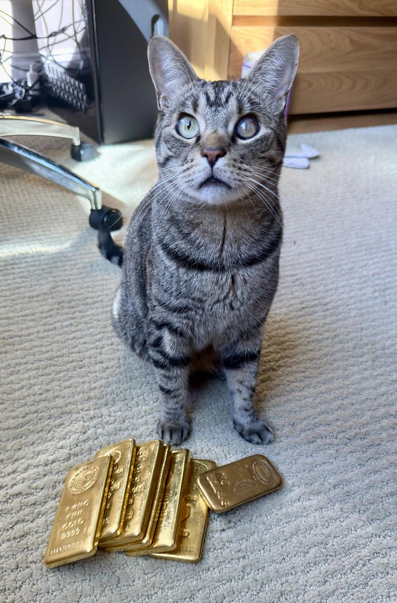 peer_metals's tweet image. 🟡 When the Seller Looks Too Confident

No paperwork.
No assay.

Just eye contact.
And attitude.

Bars on the floor.
Terms already set.

Payment demanded in treats.

📍 r/Gold
Credit: u/Aromatic-Contact610

#gold #physicalgold #soundmoney #goldstack