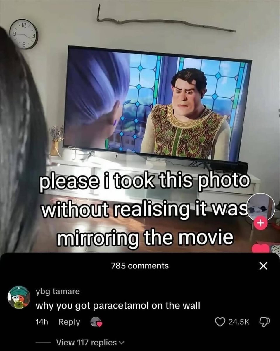 tragicbirdapp's tweet image. 