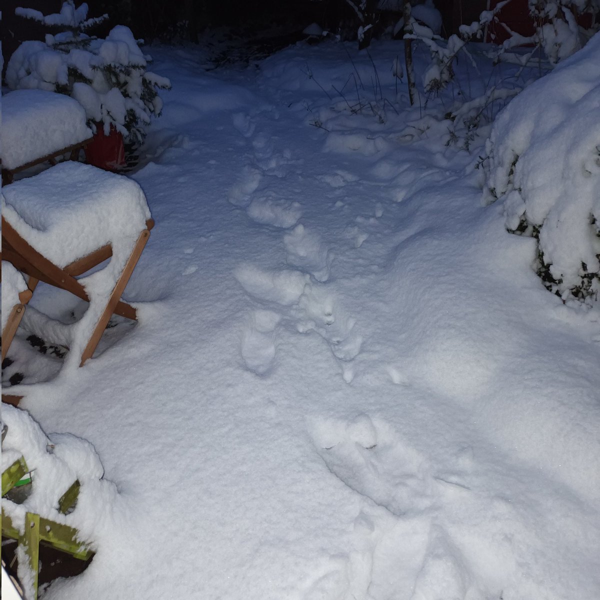 Foto van vanmorgen is links, die van daarnet is de rechtse
Er is nogal een laagje gevallen hier vandaag❄️❄️❄️❄️❄️