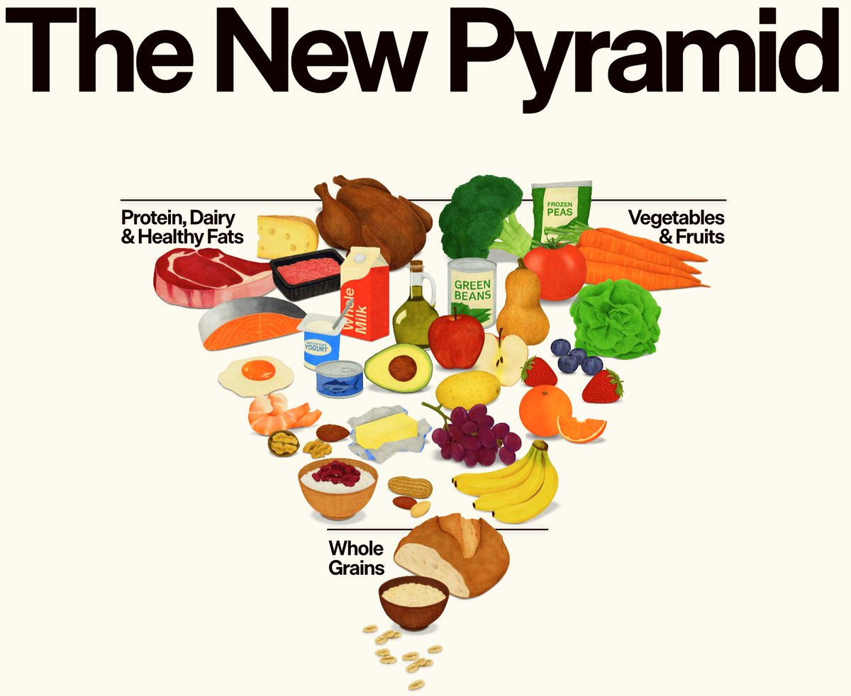 NicHulscher's tweet image. 🚨THE NEW FOOD PYRAMID JUST DROPPED