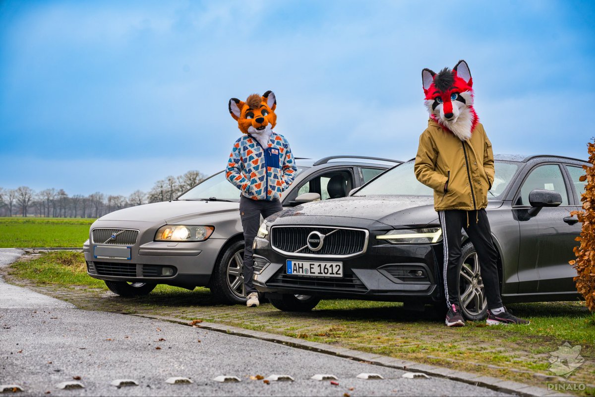 xavoto_fox's tweet image. Foxes and their big toys, yeah 🦊😅