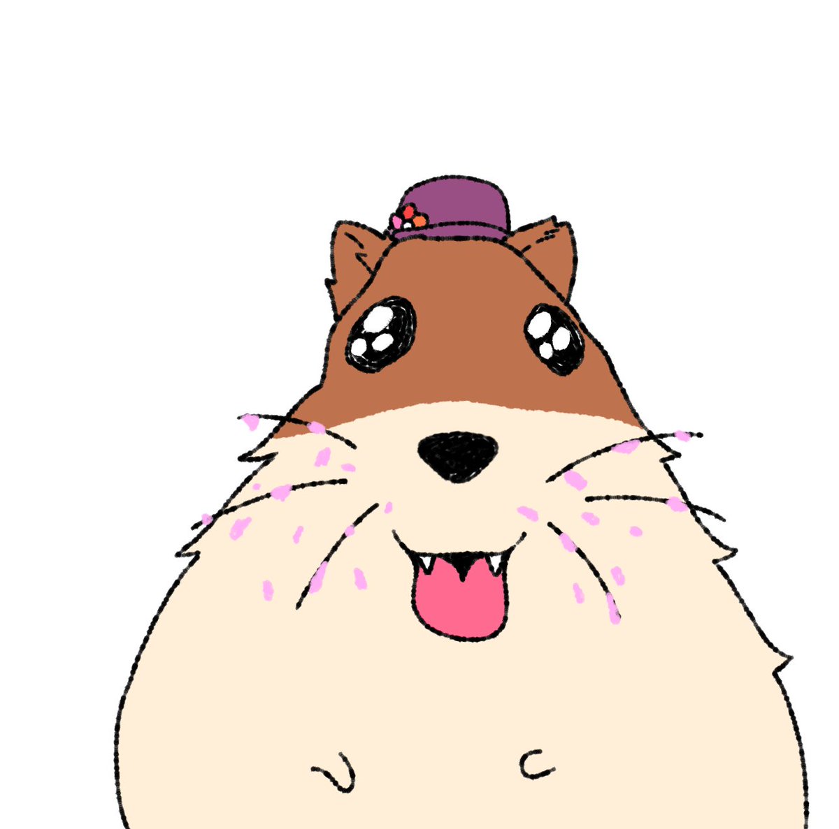 Capitan Gato tweet media