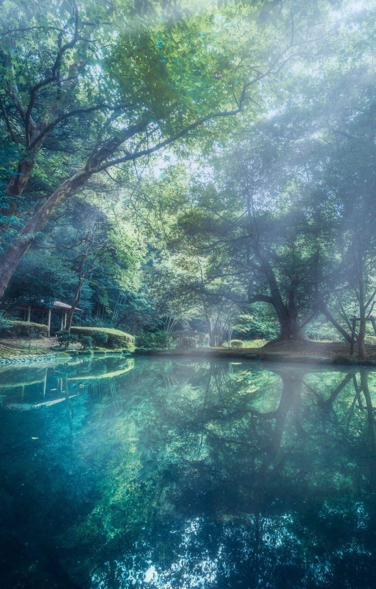 ImperatorIV's tweet image. 韓国ドラマを一気に6話も見てしまった。続きが気になって止められない ☃️