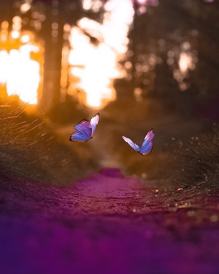 Priety` 🪷 (@priety_preets) on Twitter photo 