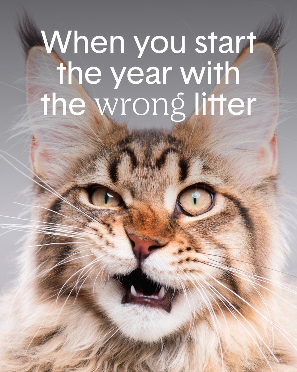 HelloBoxiecat's tweet image. 🫢 Don’t let litter box odors ruin your year.