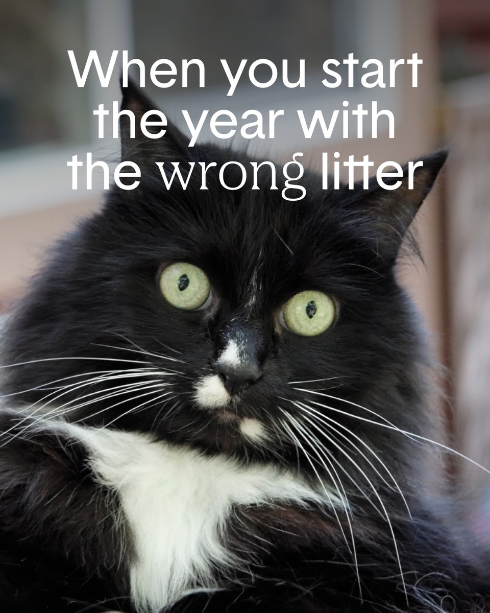 HelloBoxiecat's tweet image. 🫢 Don’t let litter box odors ruin your year.