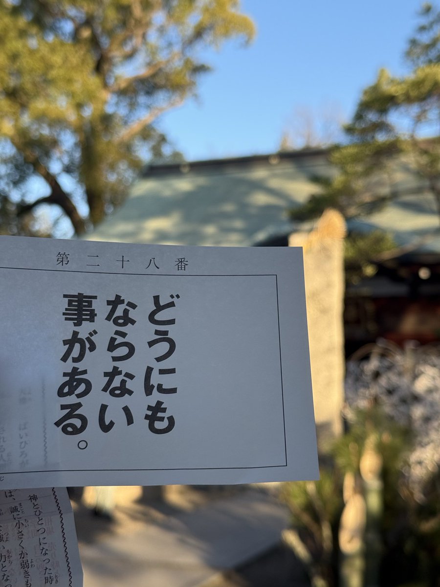 ケイリー tweet media