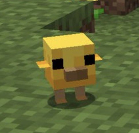 lmao, bro is just a square