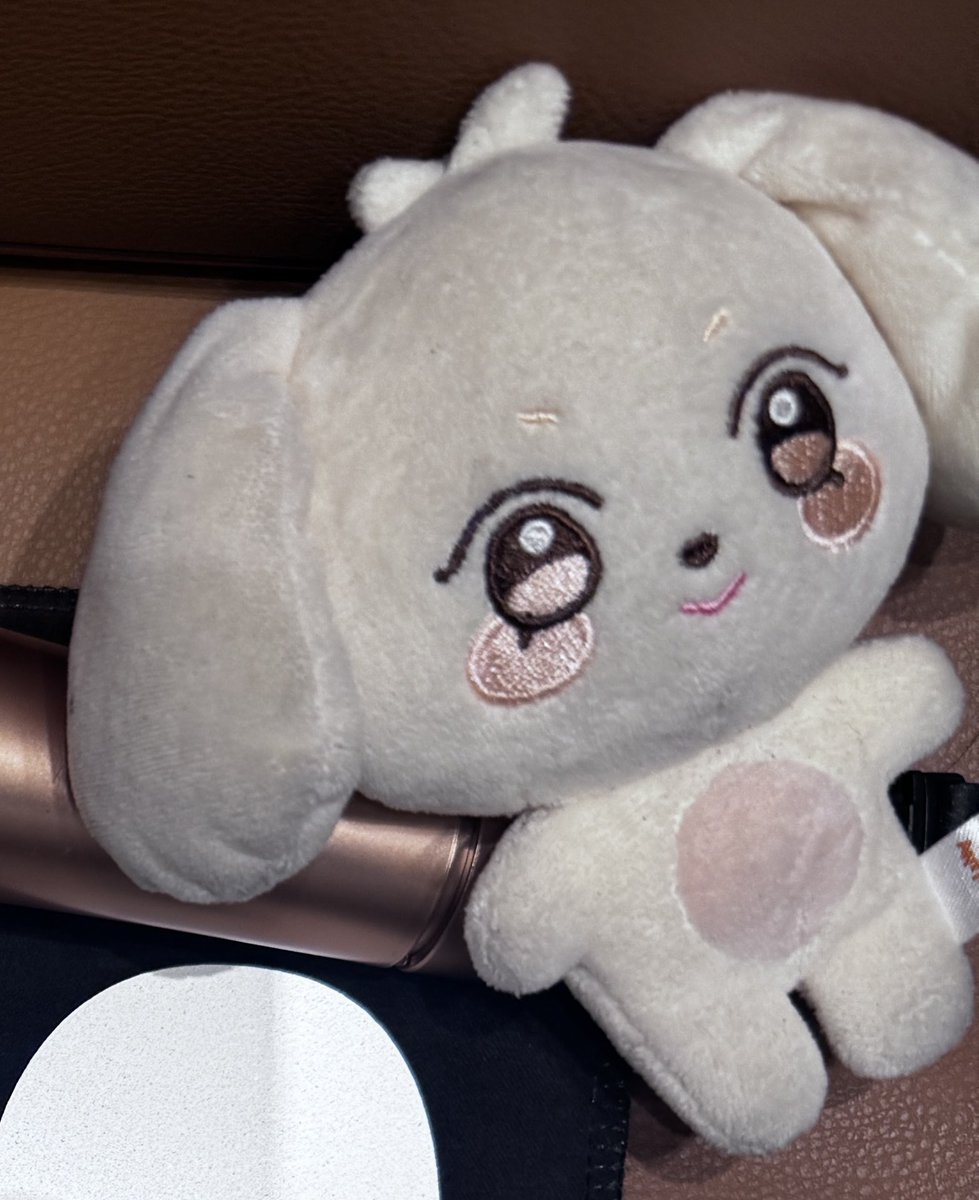 tinybiiny's tweet image. ⚠️인형 분실물 찾습니다⚠️
원래는 하얀색이었으나 매일 들고다녀서 거의 회색이 되어버린 예쁘게 생긴 하얀 강아지 인형 찾습니다!
이름은 헷몽이구요 오랜 시간을 함께한 소중한 인형입니다ㅠㅠ🥹