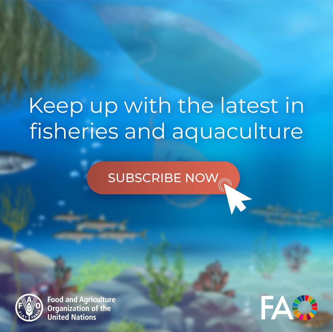 Want to stay updated on the latest resources, tools, policies, &amp; initiatives contributing to sustainable, resilient &amp; more productive aquatic #FoodSystems❓

Subscribe to the @FAOFish Digest 👉 newsletters.fao.org/k/Fao/fisherie…