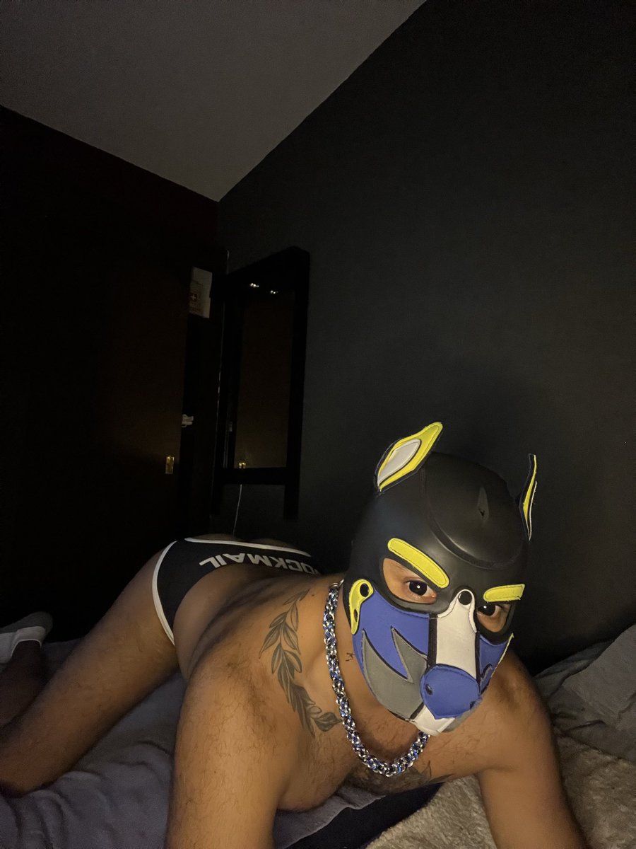 Rain puppy Wolf🐺🌙🌧️ (@rainpuppywolf1) on Twitter photo 