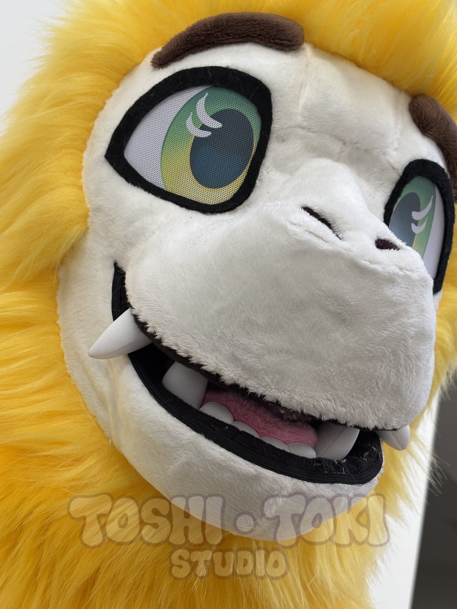 🏙️ Toshi Toki 🏙️ tweet media