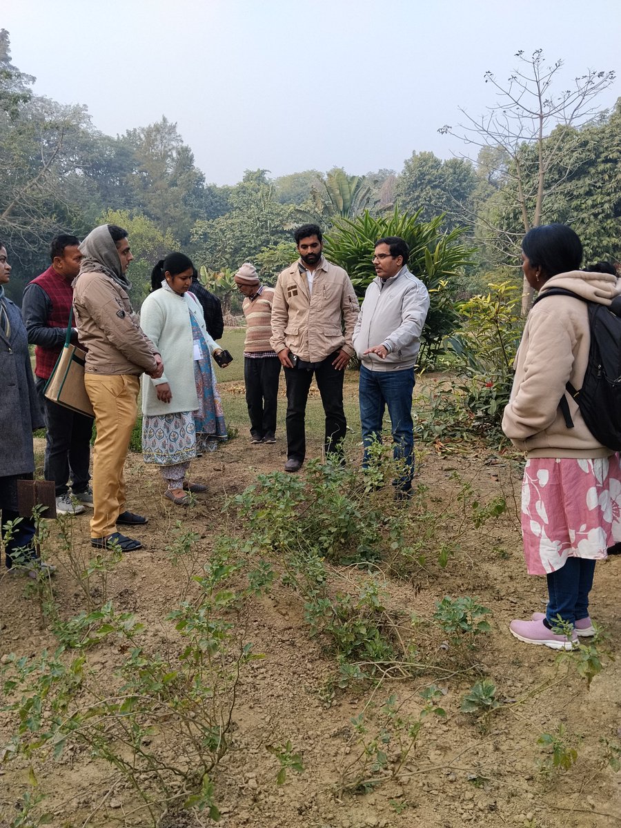 Satish_Microbes's tweet photo. As a part of CAFT Faculty training program, participants visited the Botanical Garden, Dept of Botany. Thanks to Dr. Tarun, coordinator of the program and Dr. Abhishek for sharing his experiences about medicinal plants. @bhupro https://t.co/95Pbb5SKuF
