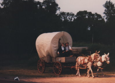 WilderPageant's tweet image. Page 10 &amp;amp; 11- 1981 pageant program the mules &amp;amp; horse were highlighted. Birdie, the horse, was 29 years old in 1981, she was in the pageant for 7 years then her offspring Babe performed in 1987.  She was owned by Alvin Kleven. The mules, Maggie and Jiggs, were owned by Art Metty.