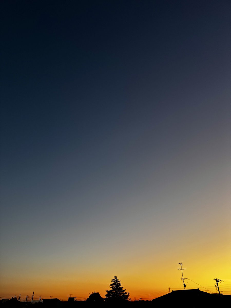 キャサリン (@Xi7ySXjpj2EYGAU) / Posts / X