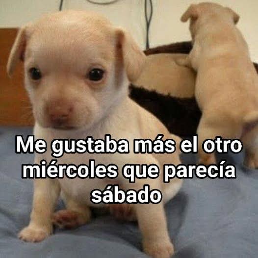 nxstypxet's tweet image. 