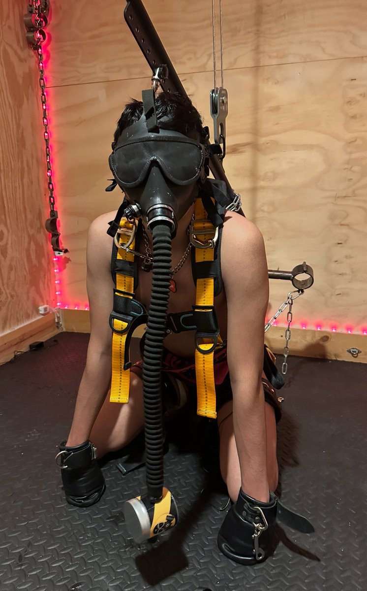 AZPupZoey tweet media