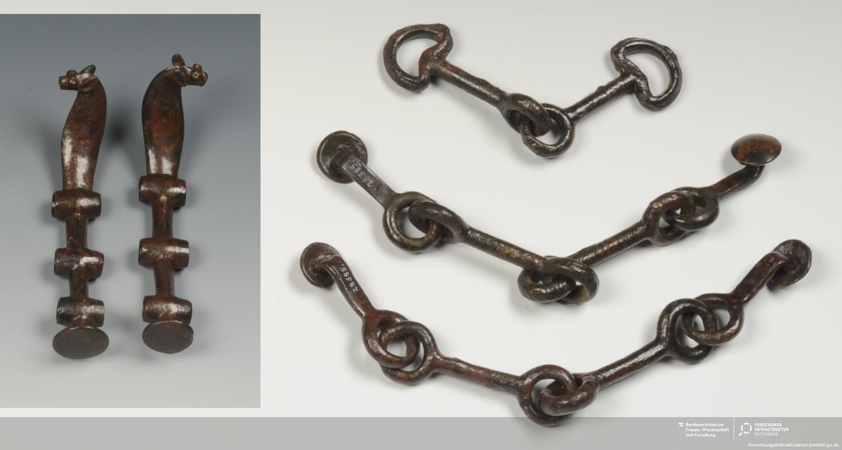 MyTrueAncestry tweet media