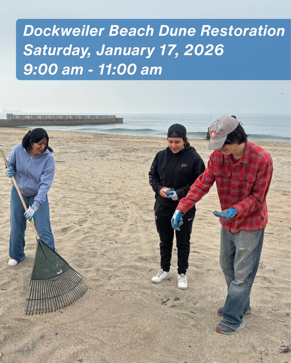 SMBRF's tweet image. Start the year by taking action for the coast! 🌱 Join us this month at our dune restoration sites and be part of coastal resilience in action. We can’t wait to kick off the year making a difference with you on the sand. Learn more &amp;amp; register: santamonicabay.org/events/ 🌊🫶
